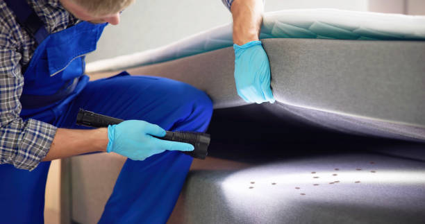 Professional Pest Control in Strum, WI